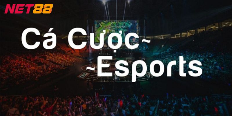 Xu Hướng Cá Cược eSports Giúp Người Chơi Tối Ưu Lợi Nhuận