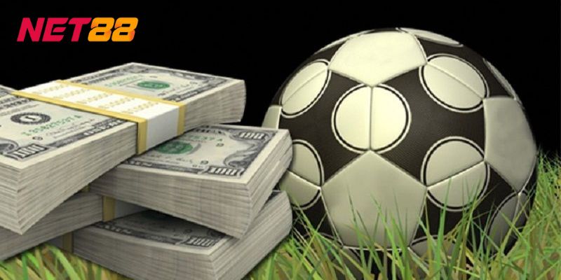Cách nhận biết tip cá độ bóng đá uy tín