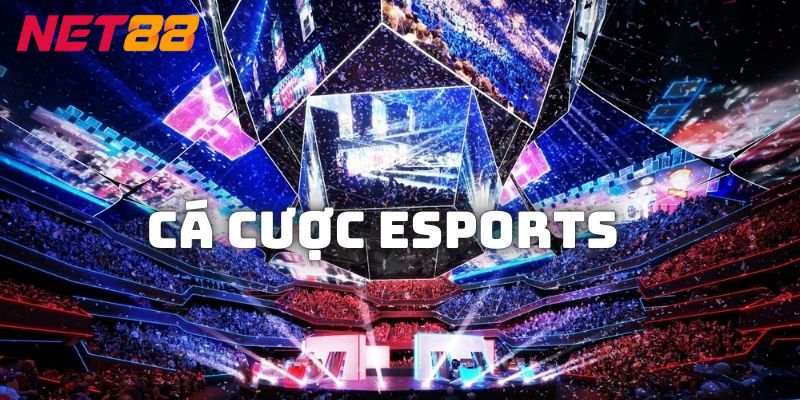 Cách tối ưu lợi nhuận khi cá cược eSports